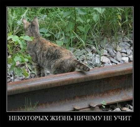 к НЕКОТОРЫХ ЖИЗНЬ НИЧЕМУ НЕ УЧИТ