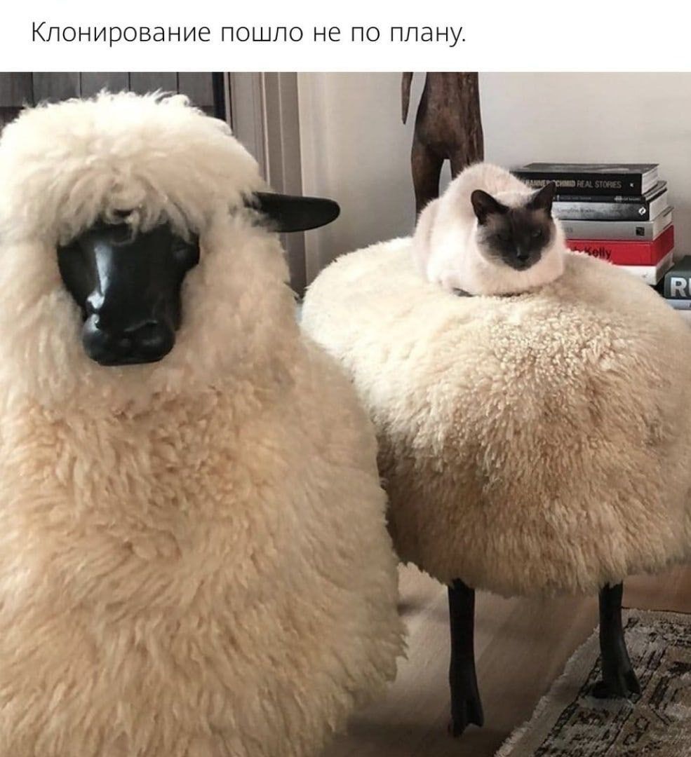 Клонирование пошло не по плану
