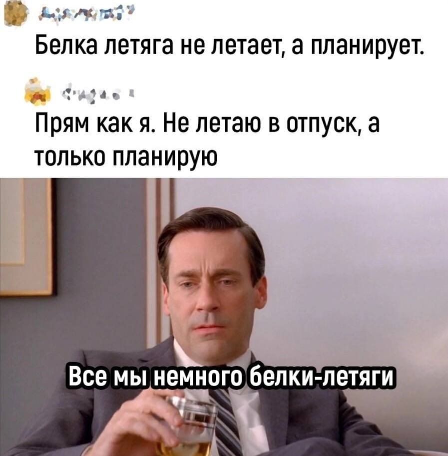 ва Белка летяга не летает а планирует ада Прям как я Не летаю в отпуск а только планирую Все мы немнпгобелки пет