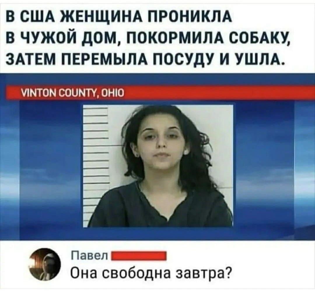 В США ЖЕНЩИНА ПРОНИКЛА В ЧУЖОЙ ДОМ ПОКОРМИЛА СОБАКУ ЗАТЕМ ПЕРЕМЫЛА ПОСУДУ И УШЛА УМтоМ соуМтУ оН т Павел пн Она свободна завтр Щ