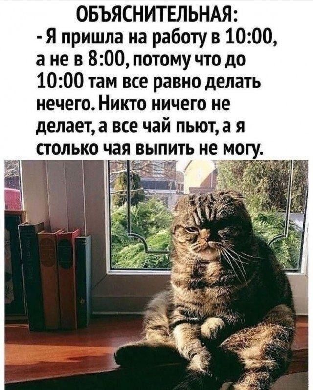 ОБЪЯСНИТЕЛЬНАЯ Я пришла на работу в 1000 ане в 800 потому что до 1000 там все равно делать нечего Никто ничего не делает а все чай пьют а я столько чая выпить не мо