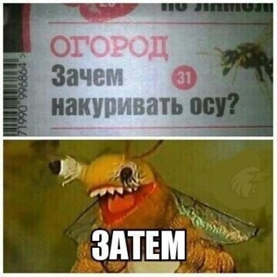 ВОГОРОД Зачем накуривать