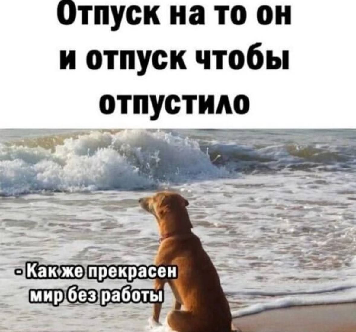 Отпуск на то он и отпуск чтобы отпустило пп жа3 _Ч Ё 42