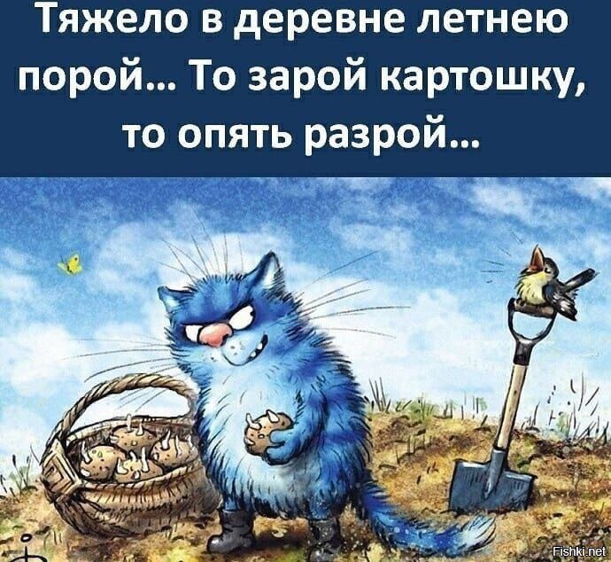 Тяжело в деревне летнею порой То зарой картошку то опять разрой
