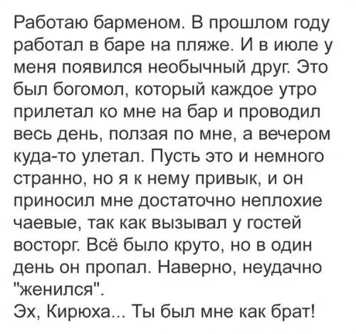 Работаю барменом В прошлом году работал в баре на пляже И в июле у меня появился необычный друг Это был богомол который каждое утро прилетал ко мне на бар и проводил весь день ползая по мне а вечером куда то улетал Пусть это и немного странно но я к нему привык и он приносил мне достаточно неплохие чаевые так как вызывал у гостей восторг Всё было круто но в один день он пропал Наверно неудачно жен