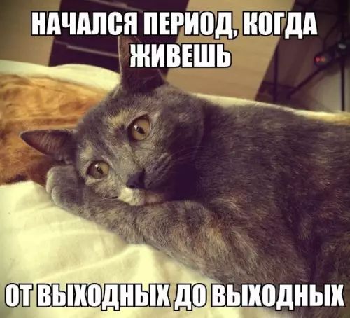 НАЧАЛСЯ ПЕРИОДЧКОГДА аь ИНЕШЬ 0т ВЫхОдНЫХ