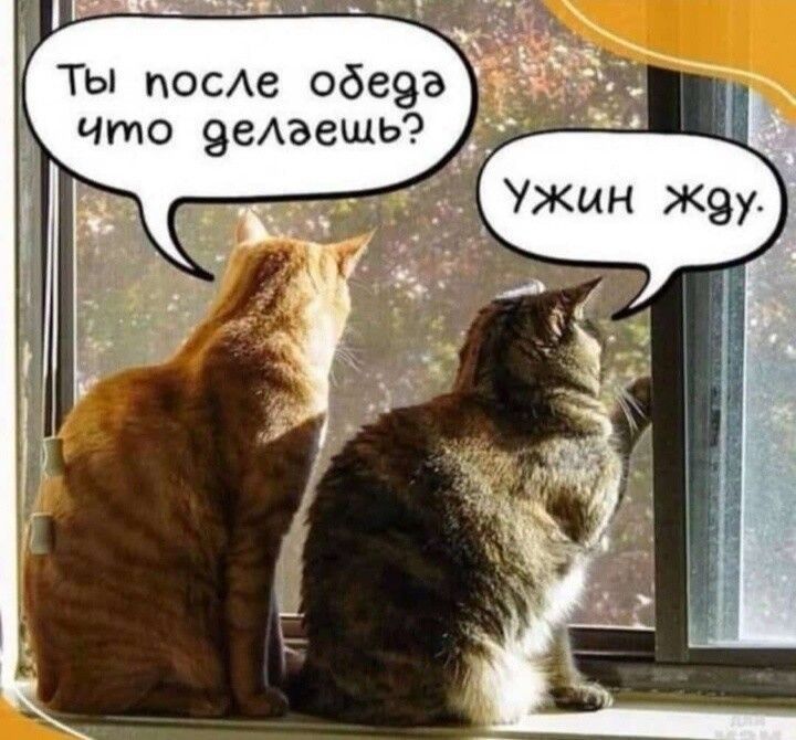 Ты после одедэа что делаещь
