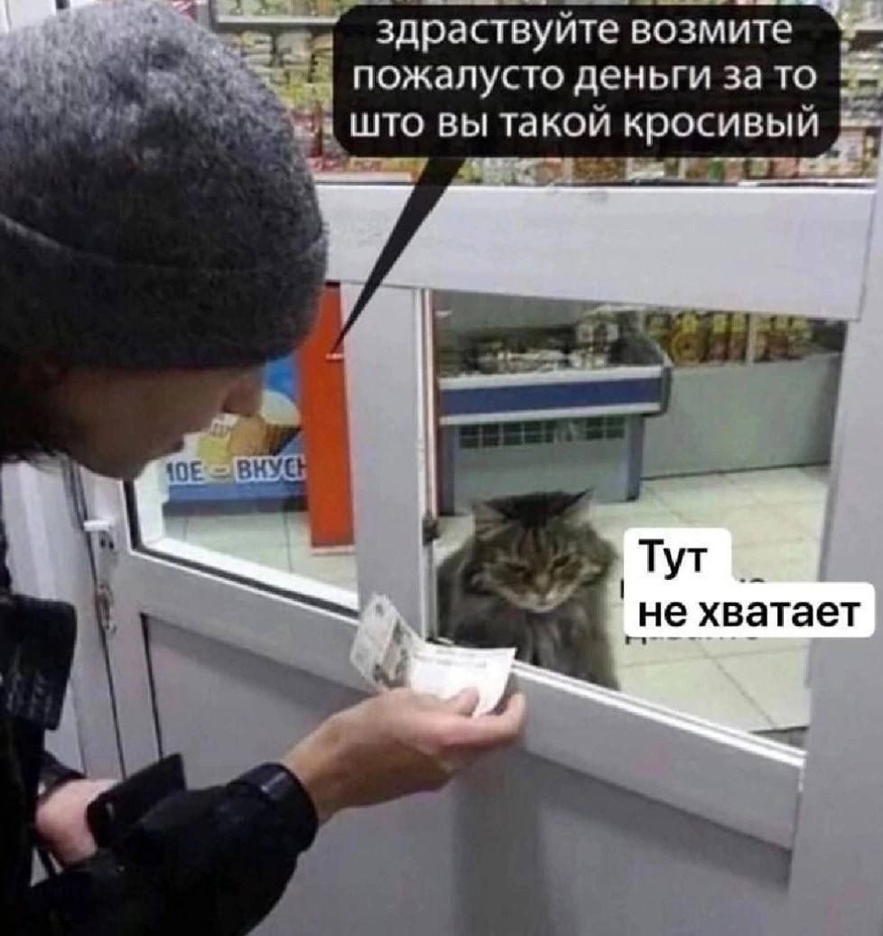 здраствуйте возмите 3 пожалусто деньги за то ОЕ ВНУ на ТУт не хватает