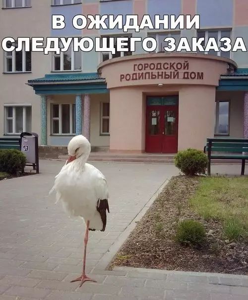 ВВ Ш ТОРОДСКОЙ РОДИПЬНЫЙ Дом