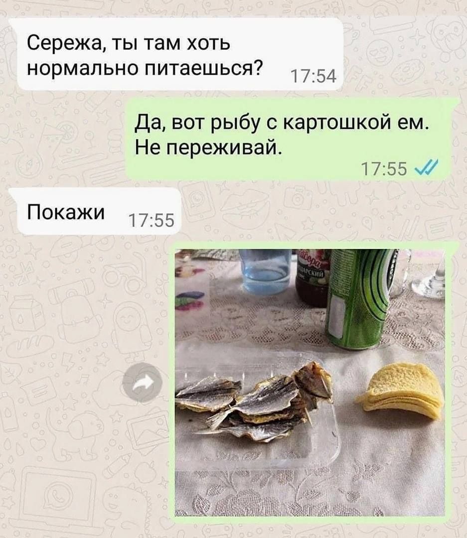 Сережа ты там хоть нормально питаешься 1754 Да вот рыбу с картошкой ем Не переживай 1755
