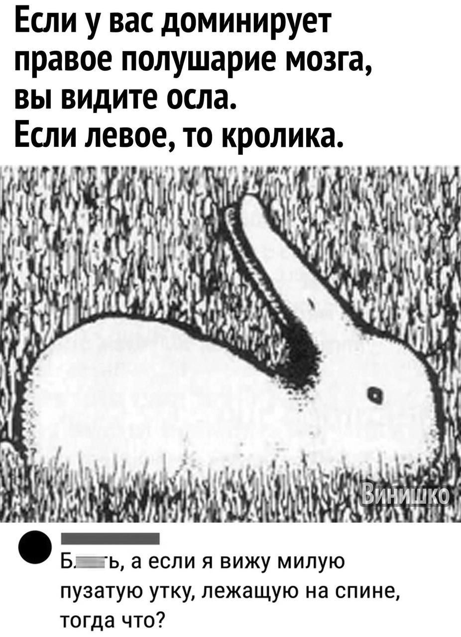 Если у вас доминирует правое полушарие мозга вы видите осла Если левое то кролика Е Блвнь а если я вижу милую пузатую утку лежащую на спине тогда что