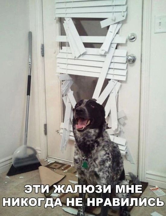 ь НИ КЕд_ЦЕ НРАВИЛ