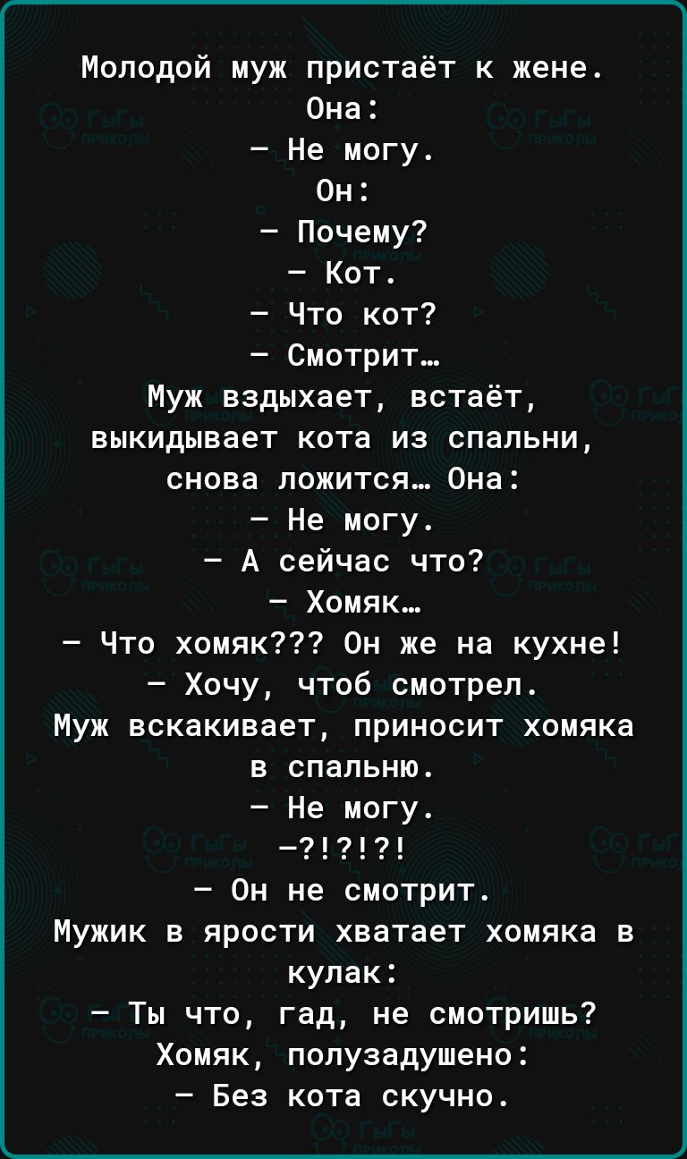 Молодой муж пристаёт к жене Она Не могу Он Почему Кот Что кот Смотрит Муж вздыхает встаёт выкидывает кота из спальни снова ложится Она Не могу А сейчас что Хомяк Что хомяк Он же на кухне Хочу чтоб смотрел Муж вскакивает приносит хомяка в спальню Он не смотрит Мужик в ярости хватает хомяка в кулак Ты что гад не смотришь Хомяк полузадушено Без кота скучно