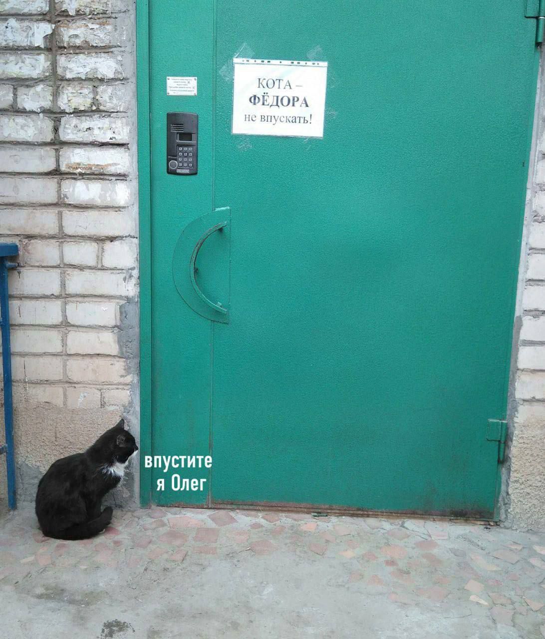 4 впустите я Олег