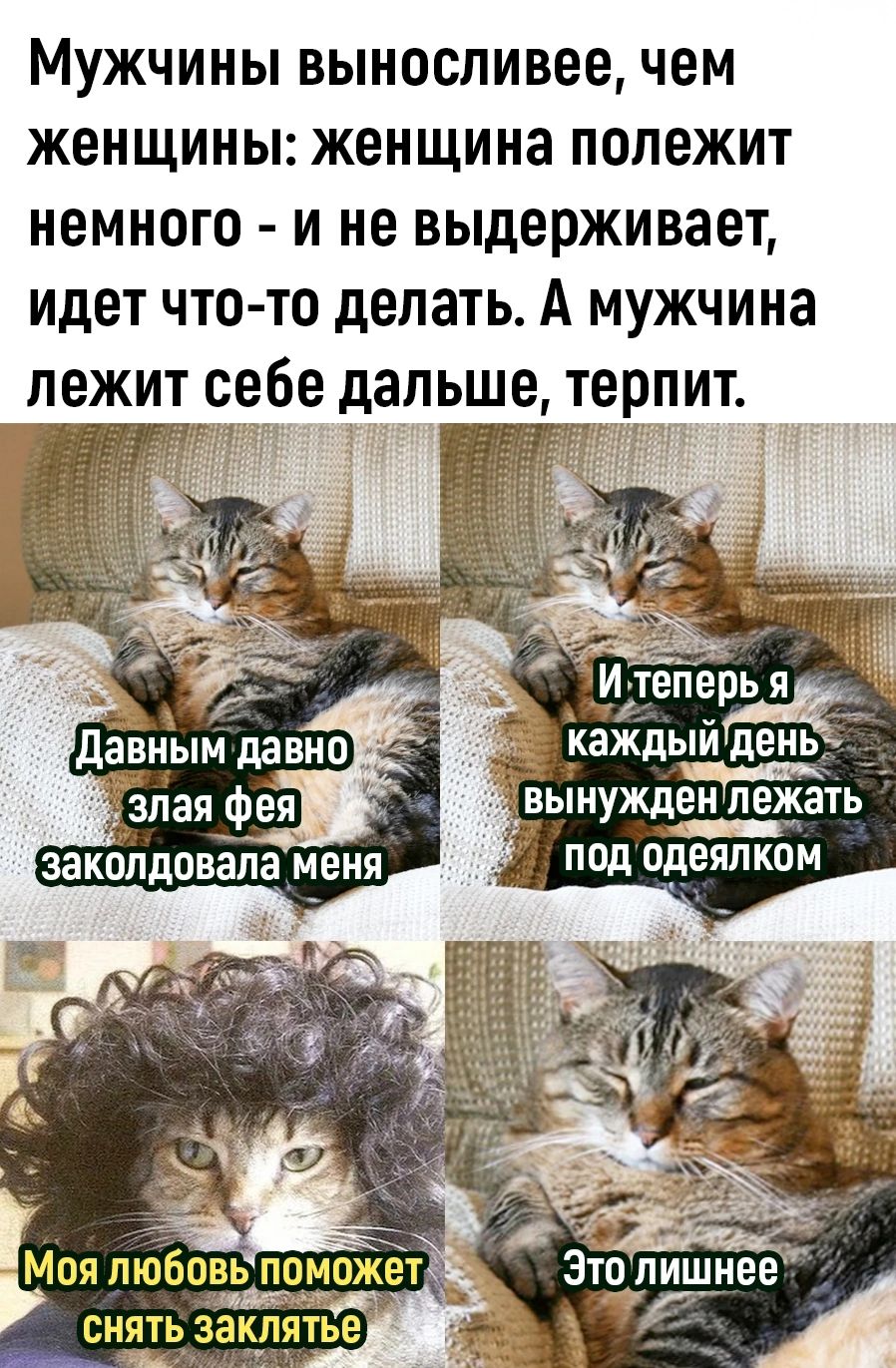 Мужчины выносливее чем женщины женщина полежит немного и не выдерживает идет что то делать А мужчина лежит себе дальше терпит теперь я каждьпи день Е жынужден лежать а ща под одеялком