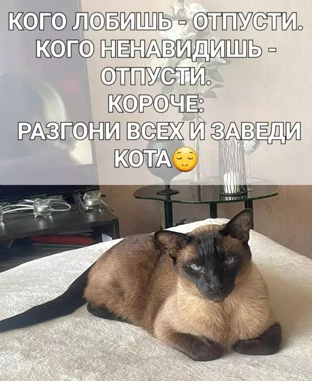 ЛОБИЧа оТЯ КОГОЕНАВИ ИЕ ОУ С КоРОЧЕ РАЗПОНИВСЕЖИ АВЕЛИ КОТА