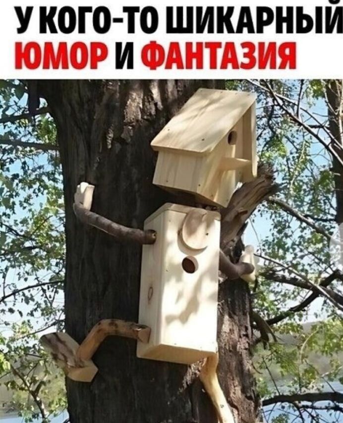 У КОГО ТО ШИКАРНЫ ЮМОРИ ФАНТАЗИЯ