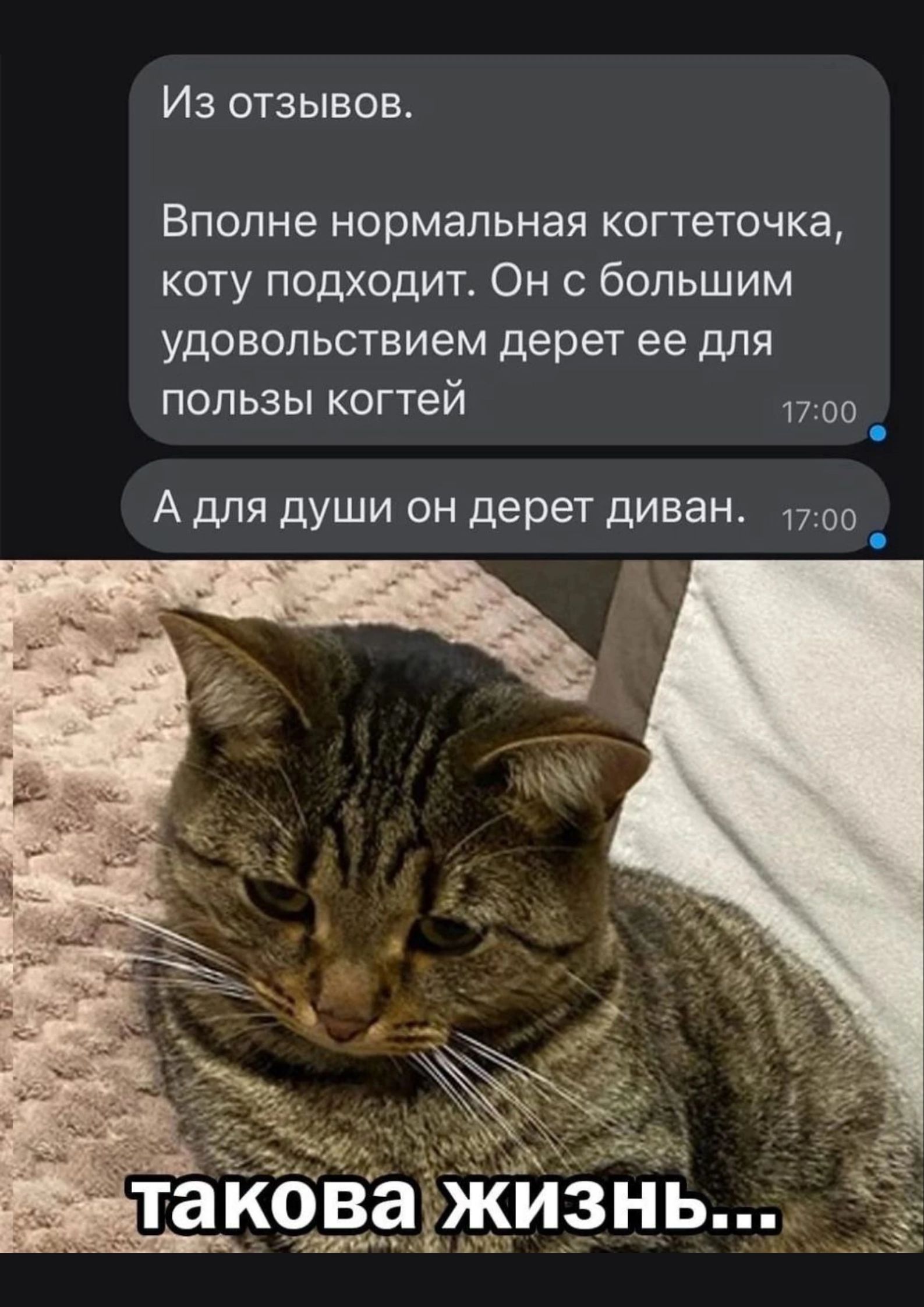 Из отзывов Вполне нормальная когтеточка коту подходит Он с большим удовольствием дерет ее для пользы когтей т00 А для души он дерет диван 170 такова ЖИЗНЬ