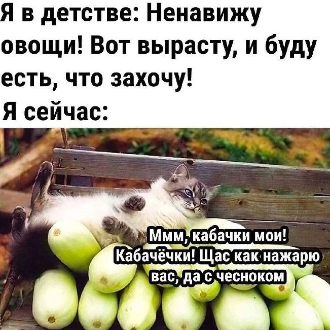 Я в детстве Ненавижу овощи Вот вырасту и буду есть что захочу Я сейчас ее олеН од Ъ Мммкабачки мои анР чалнь о оара йциннь _ Кабачёчки Щас как нажарю