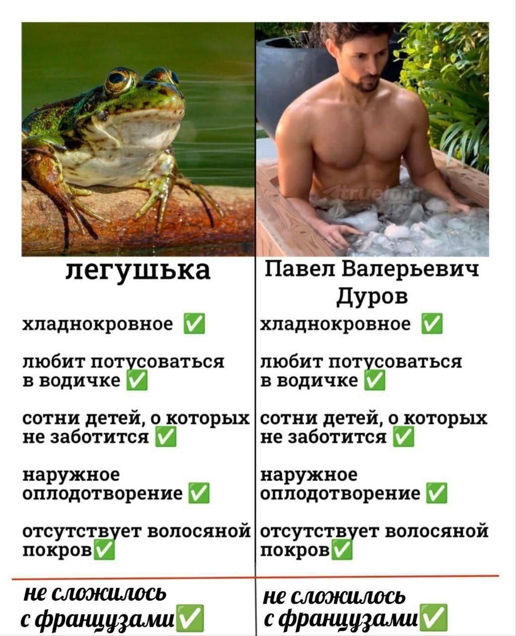 легушька хладнокровное любит по в водичке исоваться сотни детей о которых не заботится наружное оплодотворение Павел Валерьев Дуров хладнокровное любит потусоваться в водичке сотни детей о которых не заботится наружное оплодотворение отсутствует волосяной отсутствует волосяной покров покров не сложилось не сфранцузами сфранцузами 2