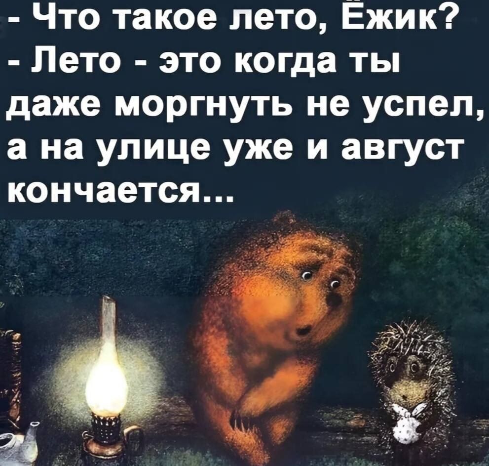 В икоы г о М эко М 4714 Лето это когда ты даже моргнуть не успел а на улице уже и август кончается