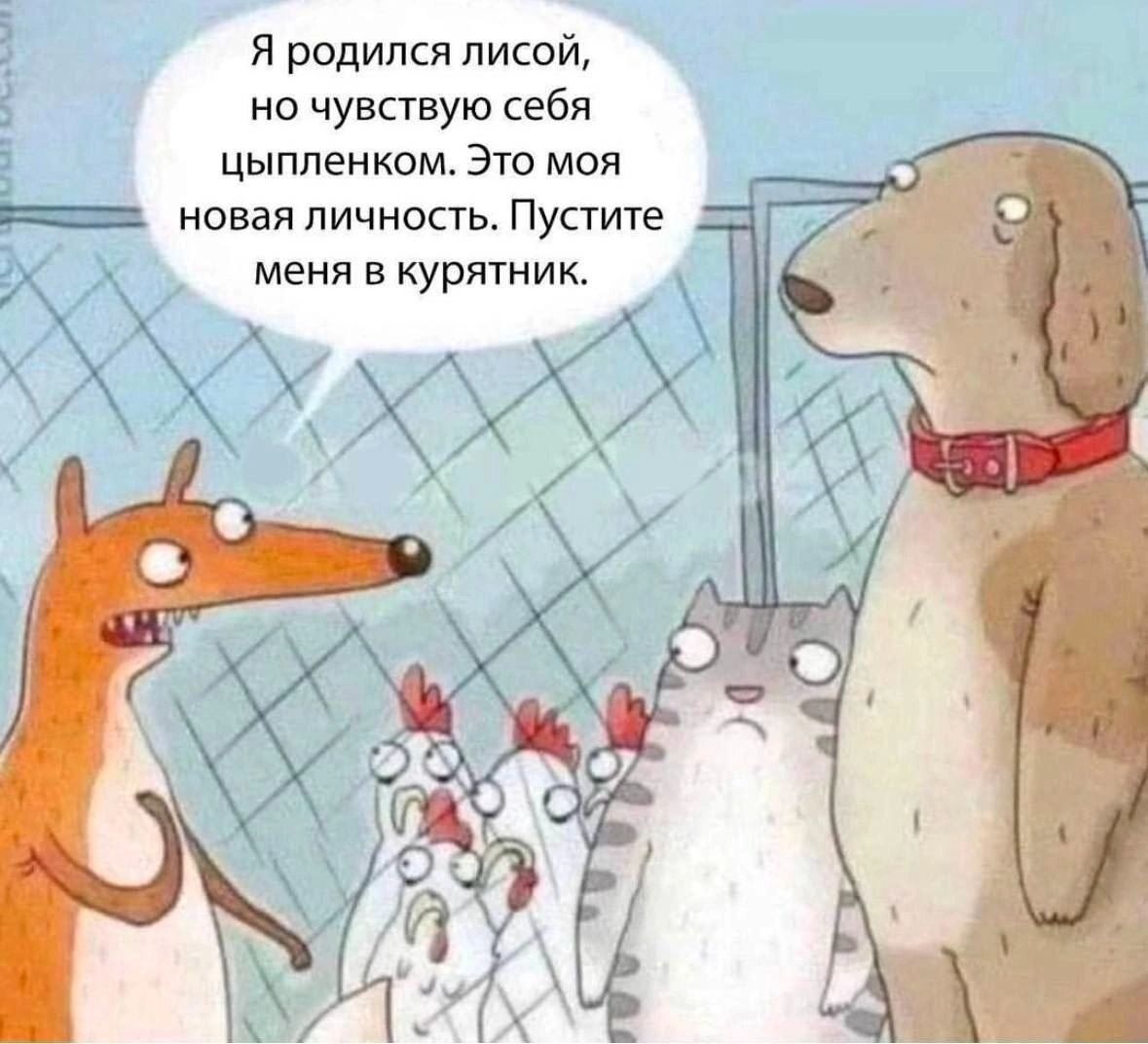 Я родился лисой но чувствую себя цыпленком Это моя шша новая личность Пустите меня в курятник