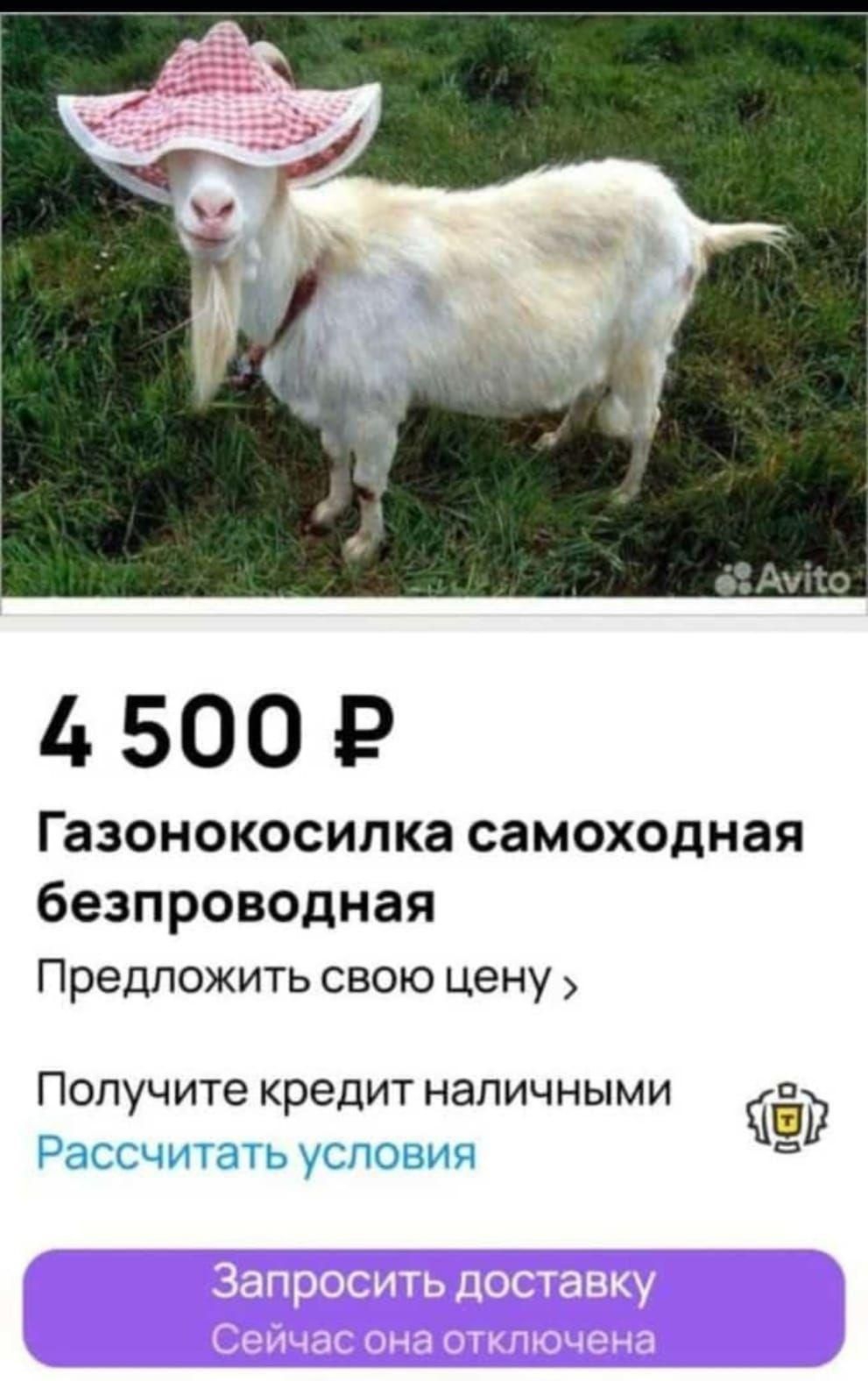 500 Р Газонокосилка самоходная безпроводная Предложить свою цену Попучите кредит наличными Ч