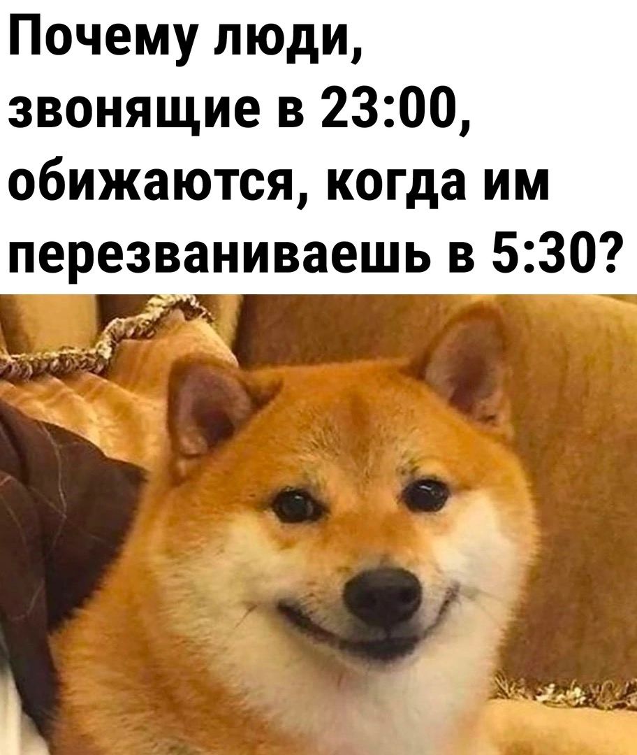 Почему люди звонящие в 2300 обижаются когда им перезваниваешь в 5 30 оы я