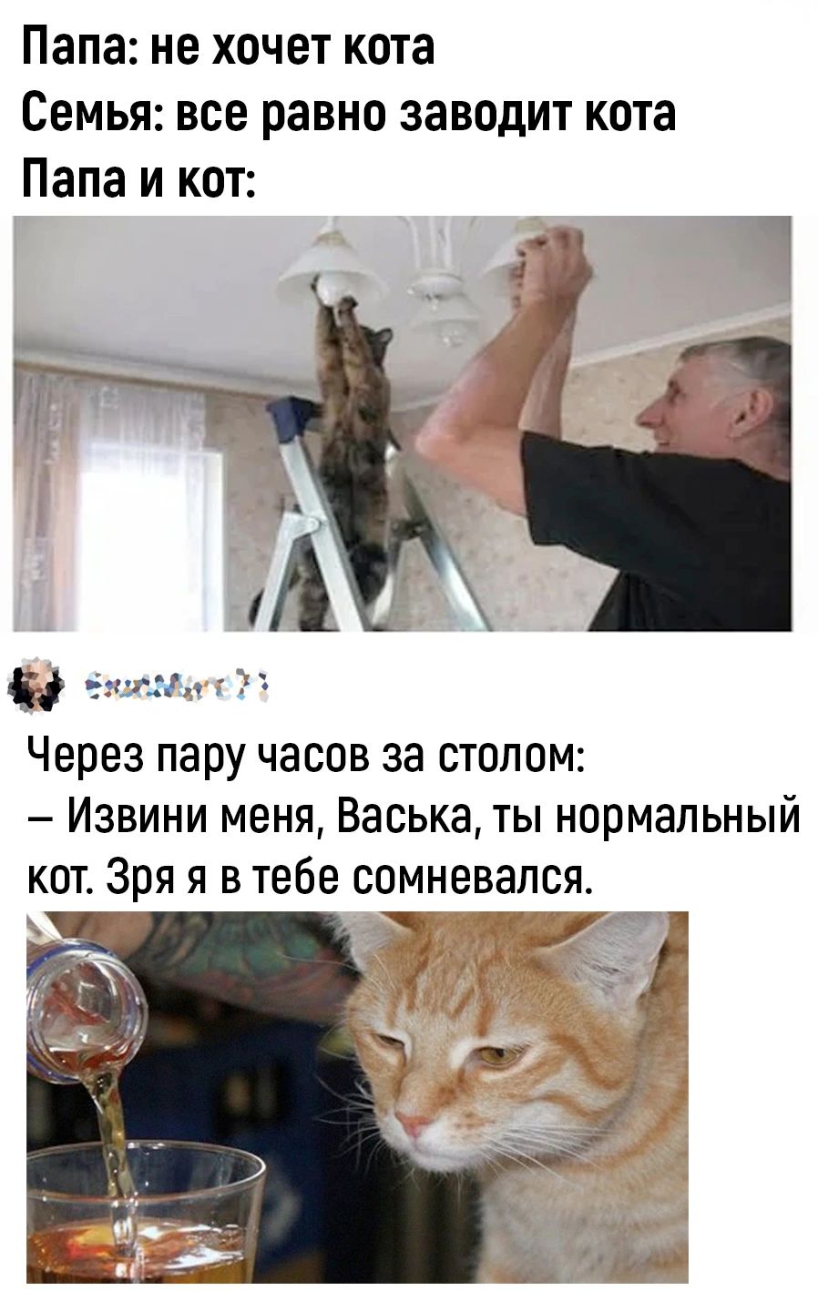 Папа не хочет кота Семья все равно заводит кота Папа и кот Ц са Через пару часов за столом Извини меня Васька ты нормальный кот Зря я в тебе сомневался чРу рсоНди