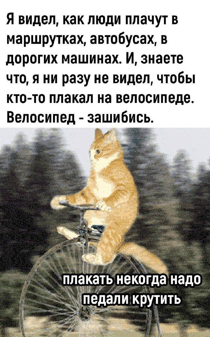 Я видел как люди плачут в маршрутках автобусах в дорогих машинах И знаете что я ни разу не видел чтобы кто то плакал на велосипеде Велосипед зашибись ПЛЗКЗТЬ некогда надо педапи крутить