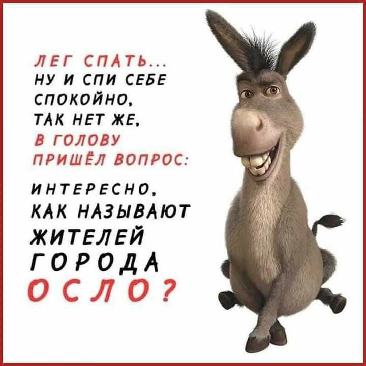 ЛЕГ СПАТЬ НУ И СПИ СЕБЕ спокойно ТАК НЕТ ЖЕ В ГОЛОВУ ПРИШЁЛ ВОПРОС ИНТЕРЕСНО КАК НАЗЫВАЮТ ЖИТЕЛЕЙ ГОРОДА ч лЛ й