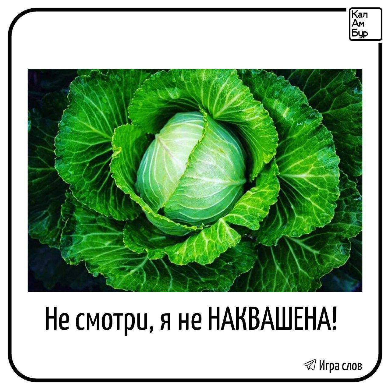 Не смотри я не НАКВАШЕНА Ипаслов