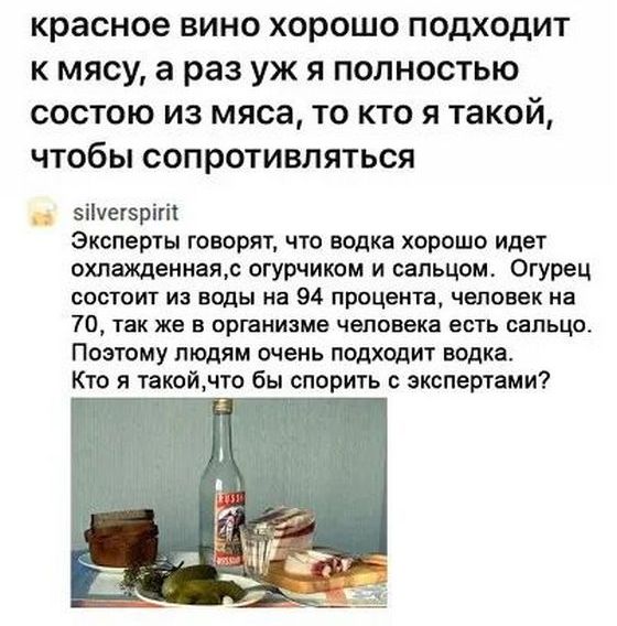 красное вино хорошо подходит кмясу а раз уж я полностью состою из мяса то кто я такой чтобы сопротивляться зйуегорий Эксперты говорят что водка хорошо идет охлажденнаяс огурчиком и сальцом Огурец состоит из воды на 94 процента человек на 70 так же в организме человека есть сальцо Поэтому людям очень подходит водка Кто я такойчто бы спорить с экспертами т