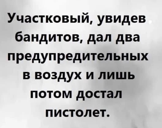 Участковый увидев бандитов дал два предупредительных в воздух и лишь потом достал пистолет