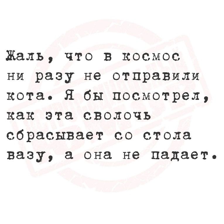 Жаль что в космос ни разу не отправили кота Я бы посмотрел как эта сволочь сбрасывает со стола вазу а она не падает