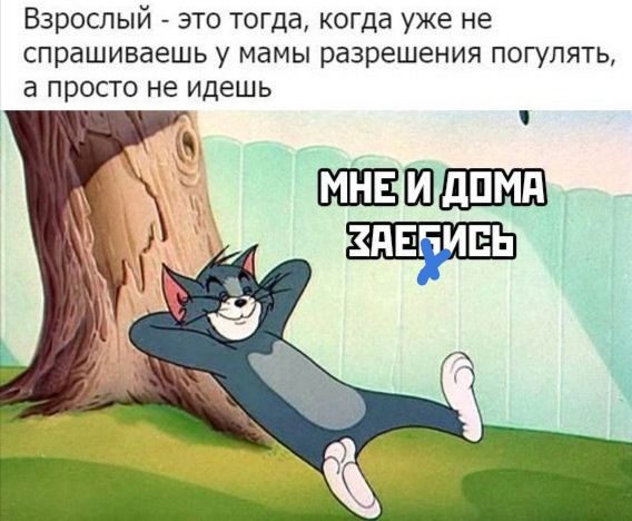 Взрослый это тогда когда уже не спрашиваешь у мамы разрешения погулять а просто не идешь