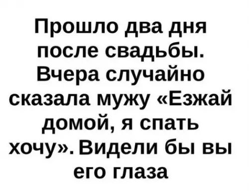 Прошло два дня после свадьбы Вчера случайно сказала мужу Езжай домой я спать хочу Видели бы вы его глаза