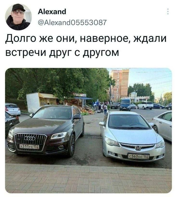 Аехапа Аехапа05553087 Долго же они наверное ждали встречи друг с другом