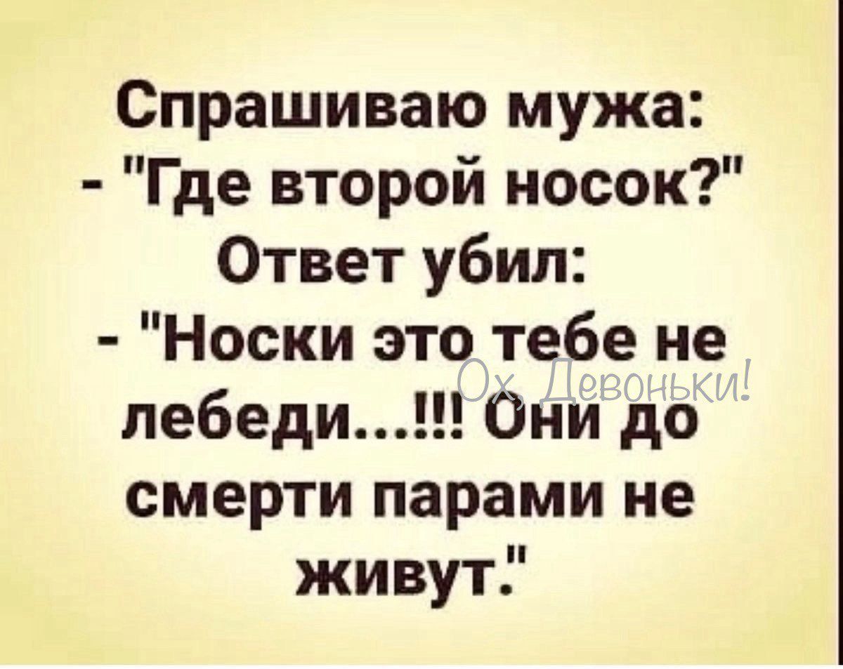 Спрашиваю мужа Где второй носок Ответ убил Носки это тебе не лебеди Они до смерти парами не живут