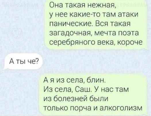 Аты че Она такая нежная у нее какие то там атаки панические Вся такая загадочная мечта поэта серебряного века короче Аяиз села блин Из села Саш У нас там из болезней были только порча и алкоголизм