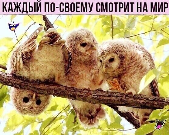 КАЖДЫЙ ПО СВОЕМУ СМОТРИТ НА МИР чоды о В