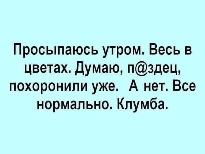 Просыпаюсь утром Весь в цветах Думаю пздец похоронили уже А нет Все нормально Клумба