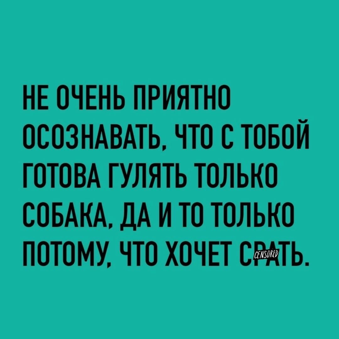 НЕ ОЧЕНЬ ПРИЯТНО ОСОЗНАВАТЬ ЧТО С ТОБОЙ ГОТОВА ГУЛЯТЬ ТОЛЬКО СОБАКА ДА И ТО ТОЛЬКО ПОТОМУ ЧТО ХОЧЕТ СРАТЬ