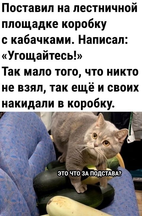 Поставил на лестничной площадке коробку с кабачками Написал Угощайтесь Так мало того что никто не взял так ещё и своих накидали в коробку