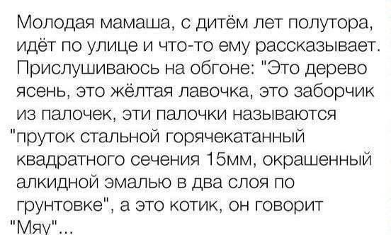 Молодая мамаша с дитём лет полутора идёт по улице и что то ему рассказывает Прислушиваюсь на обгоне Это дерево ясень это жёлтая лавочка это заборчик из палочек эти палочки называются пруток стальной горячекатанный квадратного сечения 15мм окрашенный алкидной эмалью в два слоя по грунтовке а это котик он говорит Мя