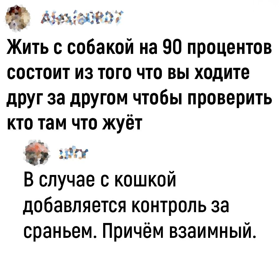 немонед Жить с собакой на 90 процентов состоит из того что вы ходите друг за другом чтобы проверить кто там что жуёт х В случае с кошкой добавляется контроль за сраньем Причём взаимный