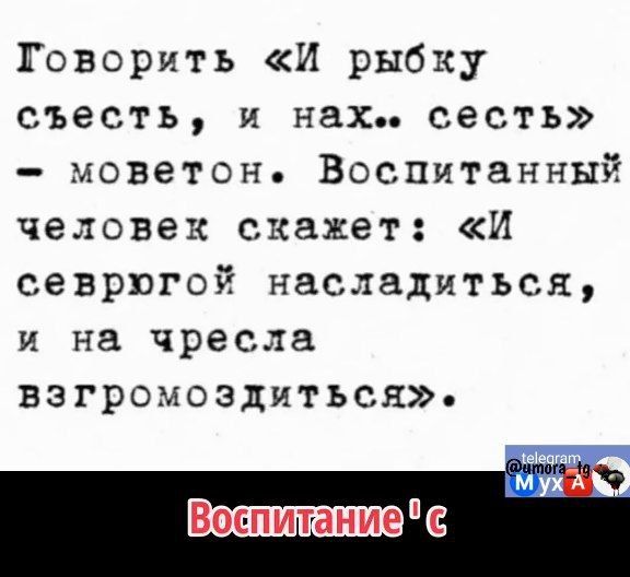 ГТоворить И рыбку съесть и нах сесть моветон Воспитанный человек скажет И севрюгой насладиться и на чресла взгромоздиться Воспитаниеще