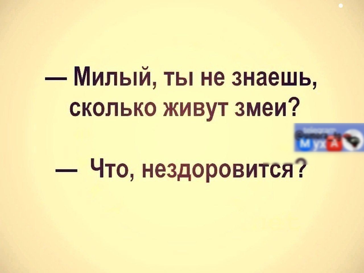 Милый ты не знаешь сколько живут змеи ь Что нездоровится