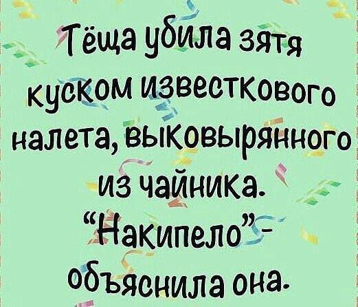 Тёща убила зЯтя куском ИЁВВОТКОВОГО налета выковырянного из чайника _ Накипело7 объяснила она