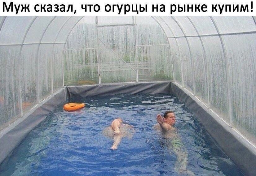 Муж сказал что огурцы на рынке купим 7 5